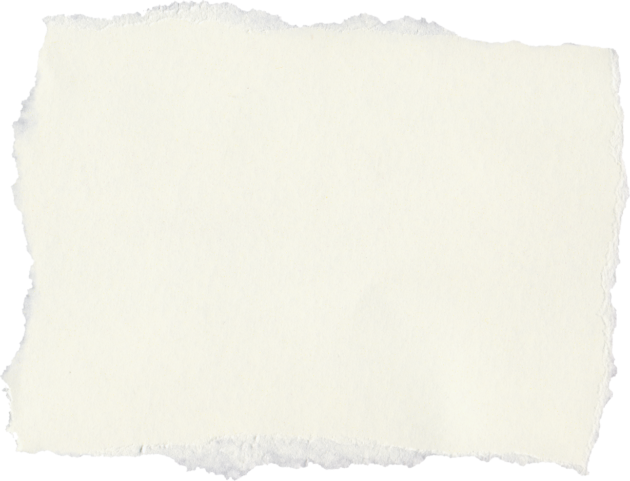 Blank Tag Label Parchment Isolated over White